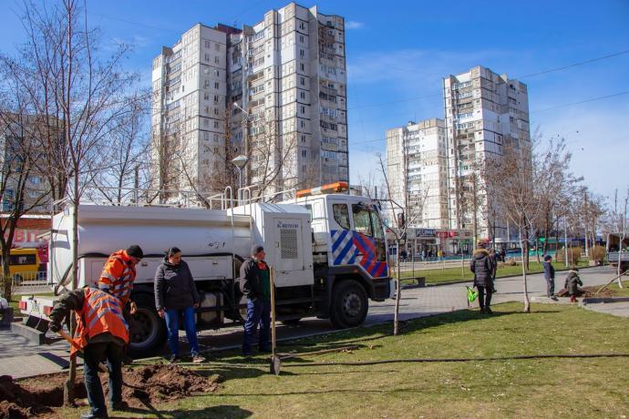 Озеленение города идет полным ходом: в Днепре планируют высадить более 3 тысяч деревьев