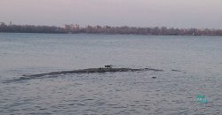 В Днепре остров у "Поплавка" превращается в мини-косу (ФОТО) - рис. 1
