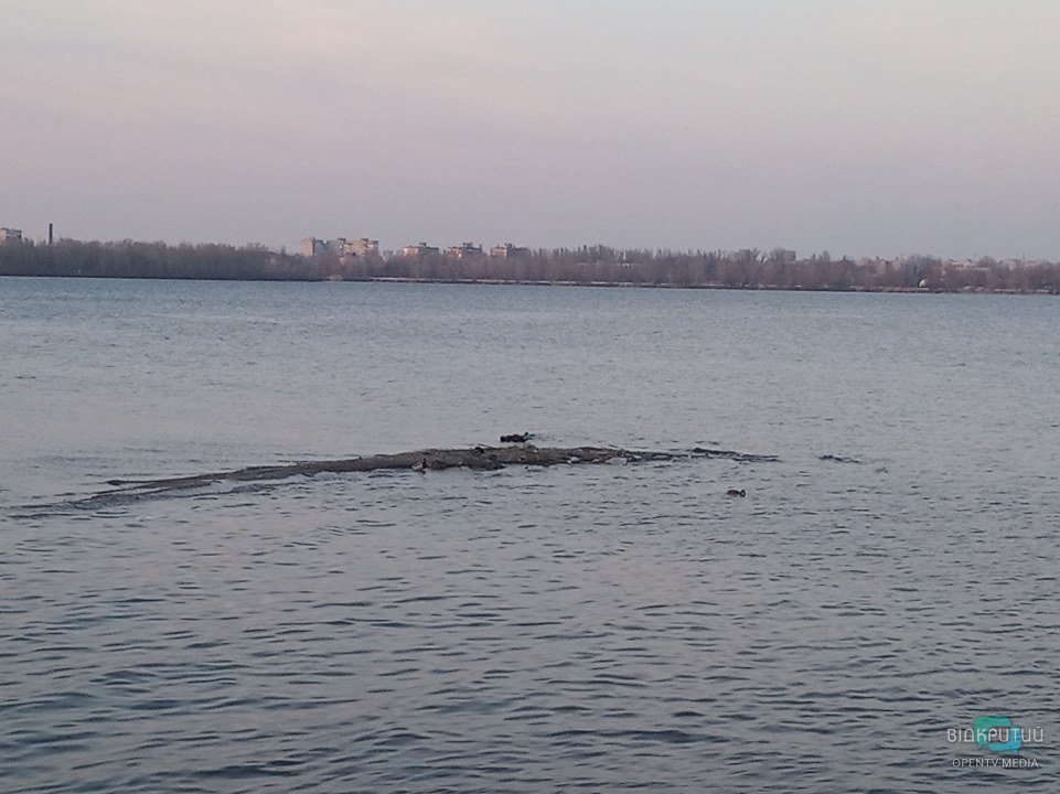 В Днепре остров у "Поплавка" превращается в мини-косу (ФОТО) - рис. 1