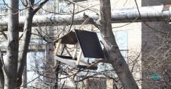 В Днепре напротив 143-й школы повесили скворечник (ФОТО) - рис. 1