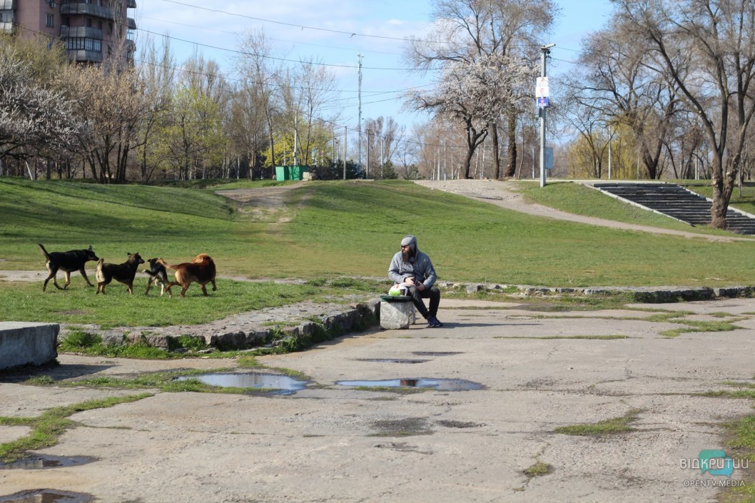 Карьер на Красном Камне в Днепре: стаи собак и одинокие рыбаки (ФОТО) - рис. 9