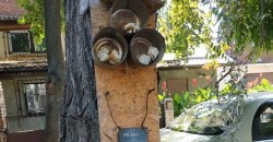 Помогайте пернатым: в Днепре горожане сделали необычную кормушку для птиц - рис. 11