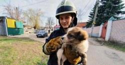 В Днепре спасатели достали маленького щенка из колодца - рис. 13