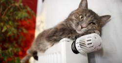 Когда в Днепре закончится отопительный сезон - рис. 11