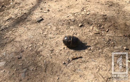 Вот так находка: в Днепре мужчина нашел в куче мусора 13 гранат