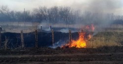 В Павлограде сгорел гектар сухой травы (ФОТО) - рис. 13
