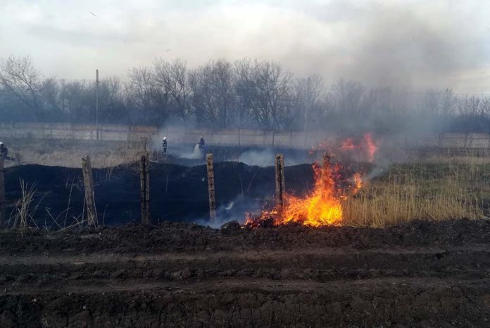 В Павлограде сгорел гектар сухой травы (ФОТО) - рис. 1