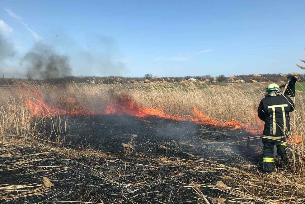 В Павлограде сгорел гектар сухой травы (ФОТО) - рис. 3