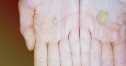 Вез 374 килограмма героина в Евросоюз: СБУ задержала поставщика наркотиков - рис. 1