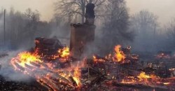 В Житомирской области лесные пожары перекинулись на сёла, людей эвакуируют - рис. 4