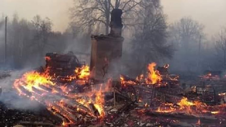 В Житомирской области лесные пожары перекинулись на сёла, людей эвакуируют - рис. 1