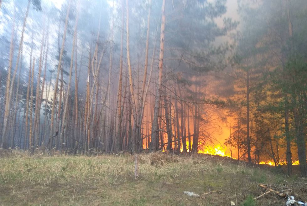 Леса горят: в Петриковском районе 15 часов тушили пожар (ФОТО, ВИДЕО) - рис. 6