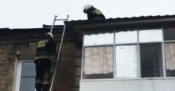 В Днепре спасатели помогли котику спуститься с крыши (ВИДЕО) - рис. 16