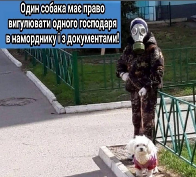 Смех против коронавируса: ТОП-20 мемов и приколов про самоизоляцию и карантин в Украине (ФОТО) - рис. 12