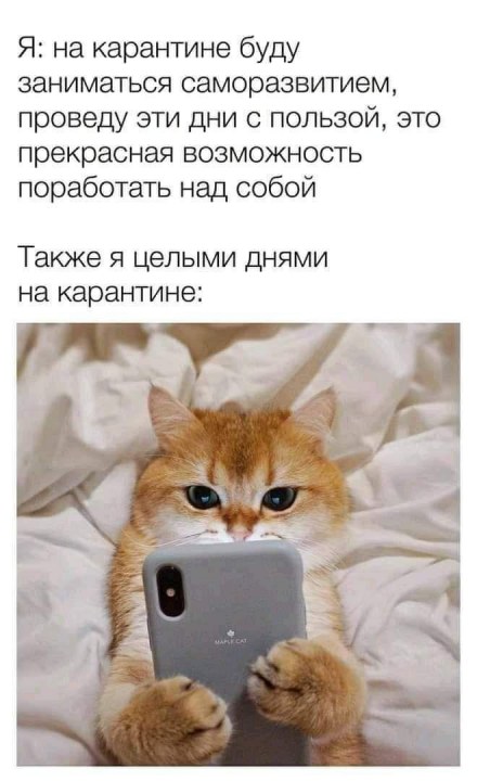 Смех против коронавируса: ТОП-20 мемов и приколов про самоизоляцию и карантин в Украине (ФОТО) - рис. 16