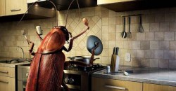 Как избавиться от тараканов - рис. 13