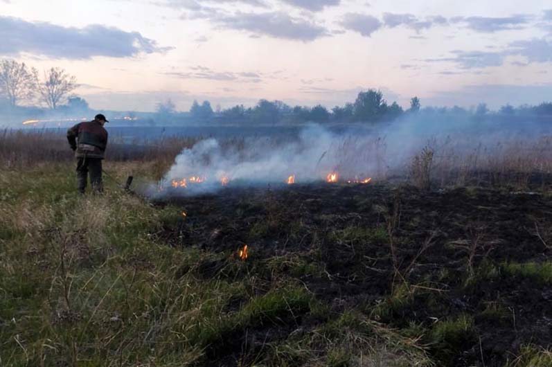 Под Днепром случился очередной пожар в экосистеме (ВИДЕО) - рис. 1