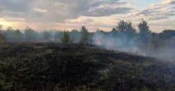 Под Днепром случился очередной пожар в экосистеме (ВИДЕО) - рис. 16