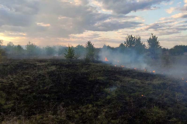 Под Днепром случился очередной пожар в экосистеме (ВИДЕО) - рис. 2