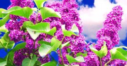 Какая погода будет в Днепре 28 апреля - рис. 5