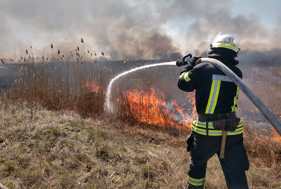 Очередной пожар возле Петриковки: горела сухая трава - рис. 2