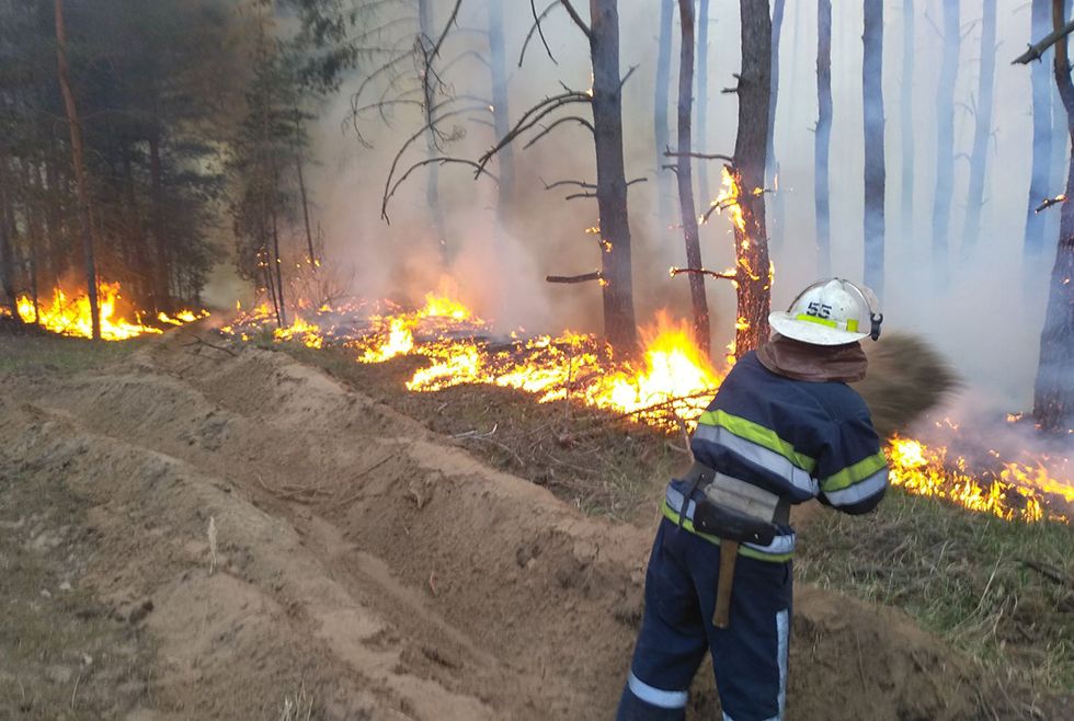 Леса горят: в Петриковском районе 15 часов тушили пожар (ФОТО, ВИДЕО) - рис. 3