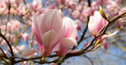 Какая погода будет в Днепре 30 апреля - рис. 3