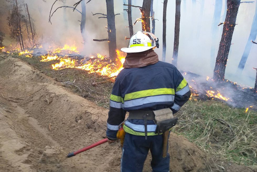 Леса горят: в Петриковском районе 15 часов тушили пожар (ФОТО, ВИДЕО) - рис. 1