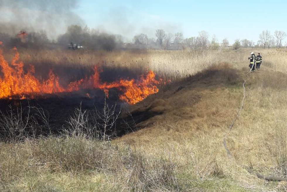 Очередной пожар возле Петриковки: горела сухая трава - рис. 3