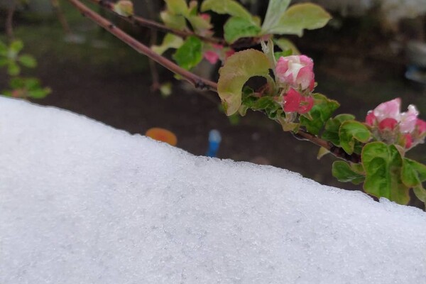 Зима вернулась: в Днепре ночью выпал снег (ФОТО) - рис. 2