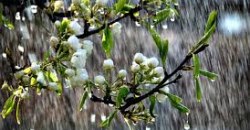 Какая погода будет в Днепре 26 апреля - рис. 7