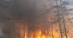 Леса горят: в Петриковском районе 15 часов тушили пожар (ФОТО, ВИДЕО) - рис. 7