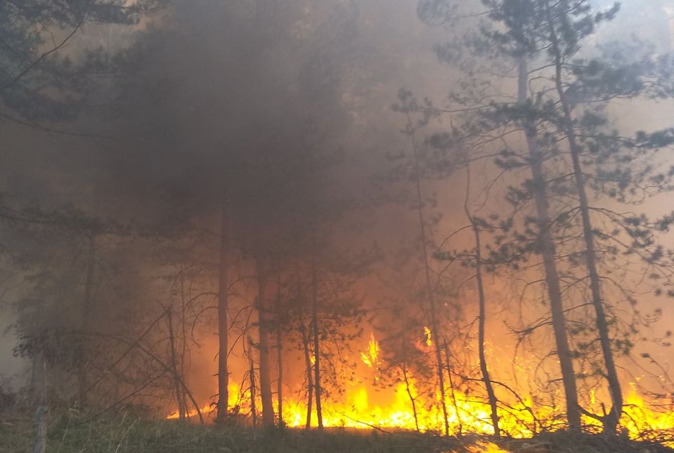 Леса горят: в Петриковском районе 15 часов тушили пожар (ФОТО, ВИДЕО) - рис. 2