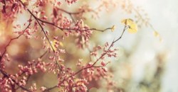 Какая погода будет в Днепре 24 апреля - рис. 9