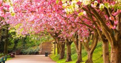 Какая погода будет в Днепре 22 апреля - рис. 10