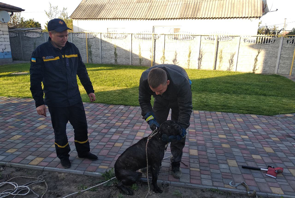 Под Днепром пес провалился в 12-метровый колодец