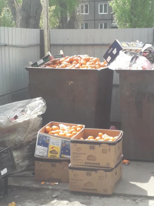 "Лучше бы людям раздали": в Днепре массово выкидывают мандарины (ФОТО) - рис. 1