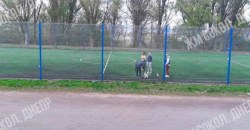 В Днепре собак выгуливают прямо на современном футбольном поле - рис. 4