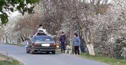 На Днепропетровщине священник святил паски с крыши автомобиля (ФОТО) - рис. 5