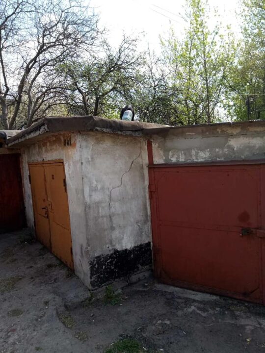 В Днепре 11-е сутки бегает собака с бутылкой на голове