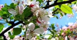 Какая погода будет в Днепре 29 апреля - рис. 4