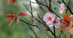 Какая погода будет в Днепре 27 апреля - рис. 6