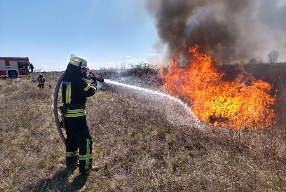 Очередной пожар возле Петриковки: горела сухая трава - рис. 1