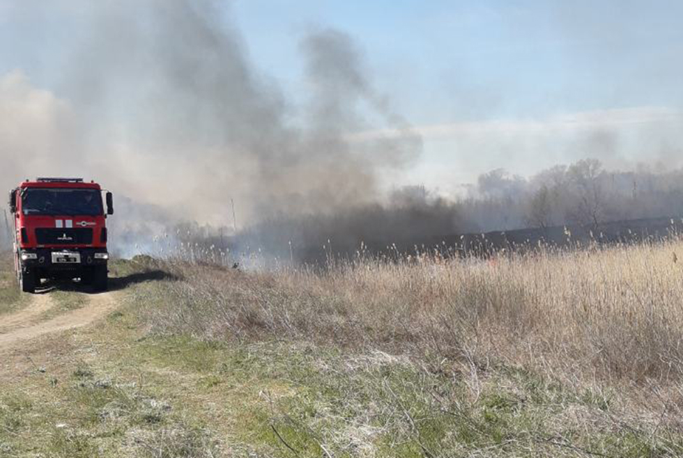 Очередной пожар возле Петриковки: горела сухая трава - рис. 5