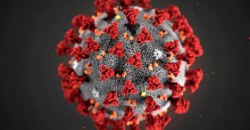 В Украине за сутки ещё 492 заболевших коронавирусом - рис. 3