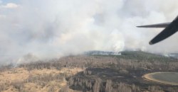 В Чернобыле второй день тушат лесной пожар: на помощь вылетела авиация - рис. 12