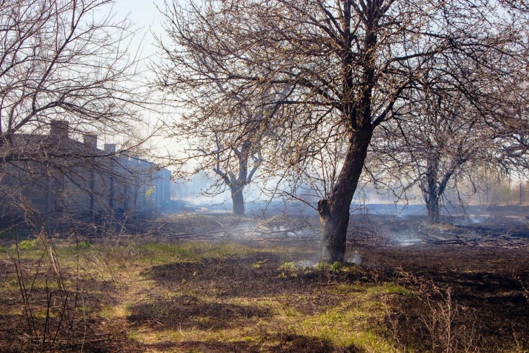 Чуть не сгорел дом: в Диевке пожар заметили с помощью дрона (ФОТО) - рис. 5