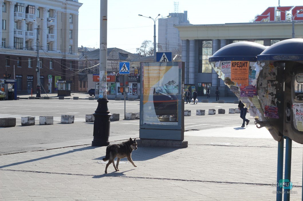 Город-призрак: как сейчас выглядит пустынный ж/д вокзал в Днепре (ФОТОРЕПОРТАЖ) - рис. 6