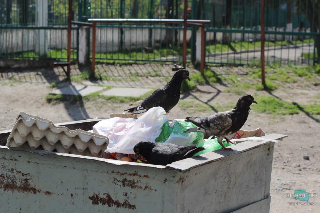 В Днепре на Красном Камне мусорные баки переполнены отходами (ФОТО) - рис. 4