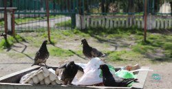 В Днепре на Красном Камне мусорные баки переполнены отходами (ФОТО) - рис. 4